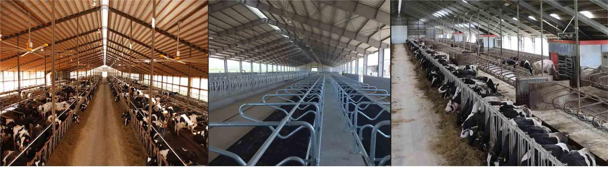 Prefabricated warehouse & Farm